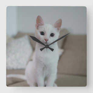 Horloge Carrée chat blanc Zazzle_Growshop.