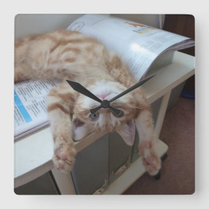 Horloge Carrée Chat Kitty en train de se détendre