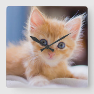Horloge Carrée Chat mignon avec des yeux bleus