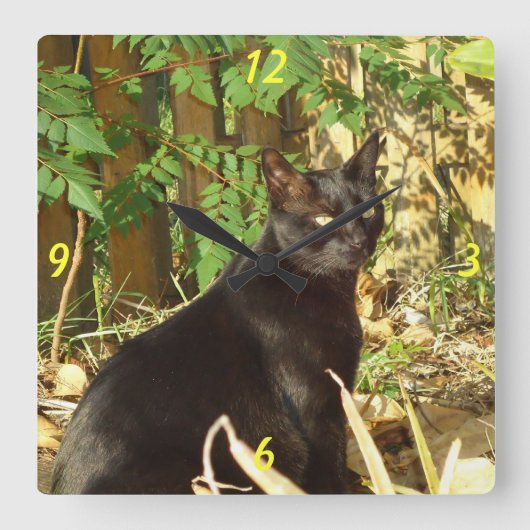 Horloge Carrée Chat noir dans l'horloge murale du matin (Recto)