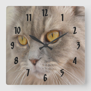 Horloge Carrée Chat perse gris yeux doré