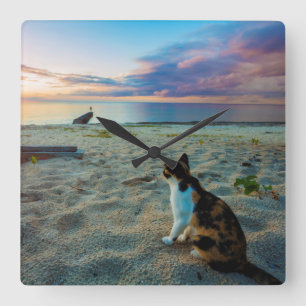 Horloge Carrée Chat se reposant sur une plage