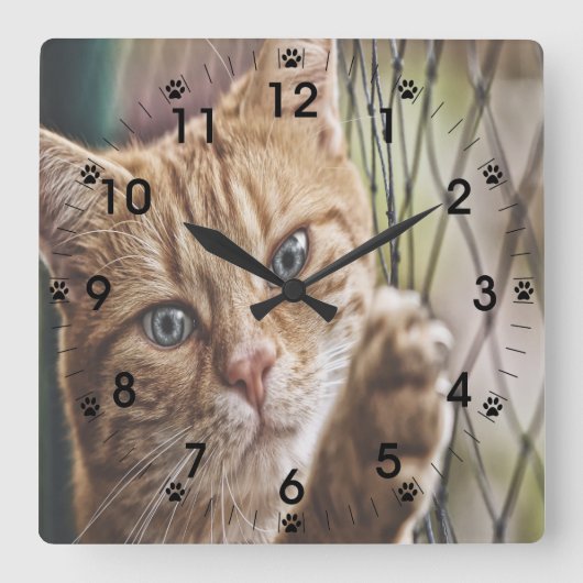 Horloge Carrée Chat Sur Une Clôture (Recto)