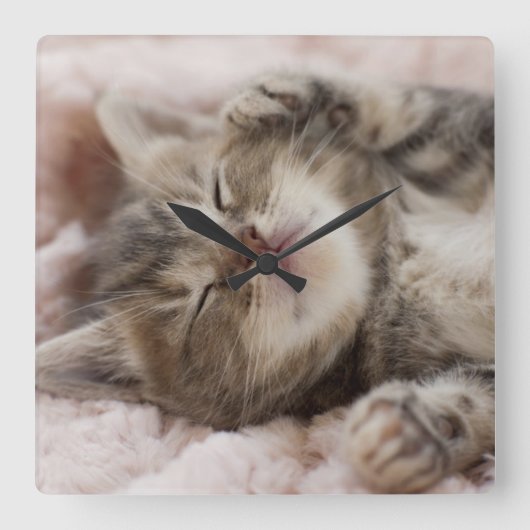 Horloge Carrée Chaton somnolent (Recto)