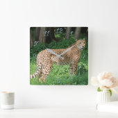 Horloge Carrée Cheetah (Maison)