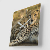 Horloge Carrée Cheetah Cub Snuggling (Angle)