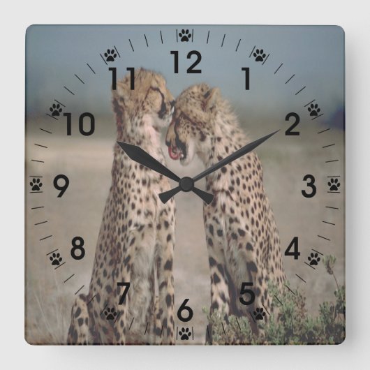 Horloge Carrée Cheetah Love (Recto)