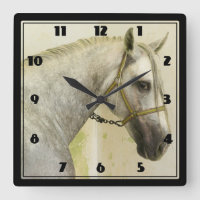 Cheval andalou grise