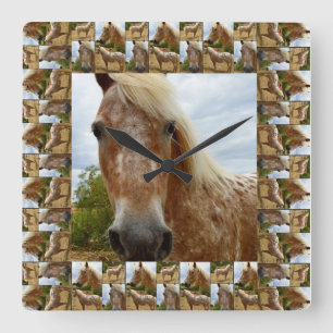 Horloge Carrée Cheval Appaloosa Dans un cadre photo pour cheval A