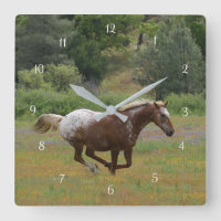 Cheval rapide Appy en Fleur sauvage