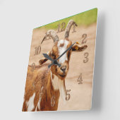 Horloge Carrée Chèvre Brown et chèvre blanche (Angle)