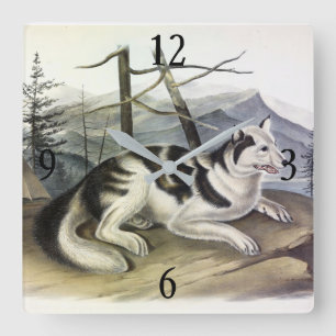 Horloge Carrée Chien d'Amérique (Chien du fleuve Mackenzie) par A