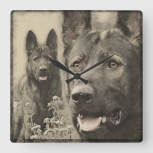 Horloge Carrée Chien de berger allemand de travail - GSD