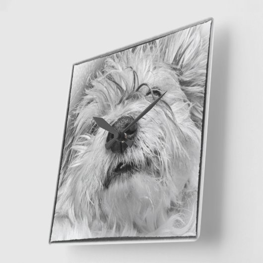 Horloge Carrée Chien de Coton de Tulear (Angle)