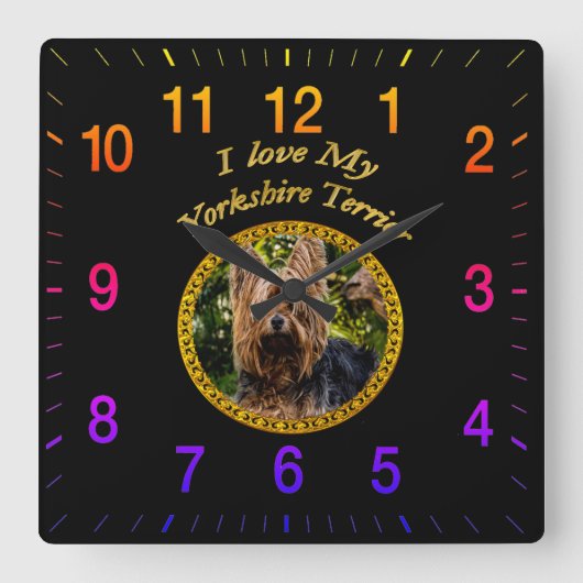 Horloge Carrée Chien doux de terrier de Yorkshire petit (Recto)