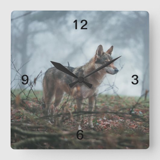 Horloge Carrée Chien-loup (Recto)