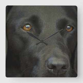Horloge Carrée Chien noir du Labrador