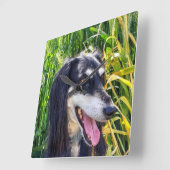 Horloge Carrée Chien saluki (Angle)