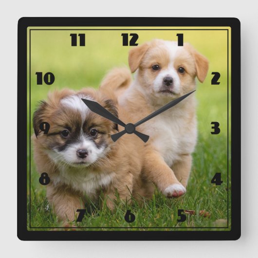 Horloge Carrée Chiens (Recto)