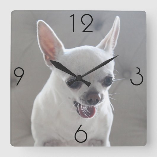 Horloge Carrée Chihuahua Photo Large Square Wall Clock (Recto)