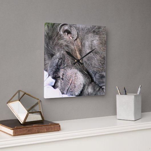 HORLOGE CARRÉE CHIMPANZÉ MIGNON (Bureau)