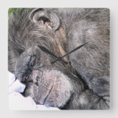 HORLOGE CARRÉE CHIMPANZÉ MIGNON (Recto)