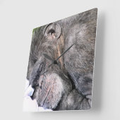 HORLOGE CARRÉE CHIMPANZÉ MIGNON (Angle)