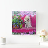 Horloge Carrée Chiot Poméranien Fluffé sur banc de jardin rustiqu (Maison)