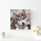 Horloge Carrée Chiot sibérien Husky à la plage (Maison)