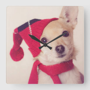 Horloge Carrée Chiwawa dans le casquette d'hiver