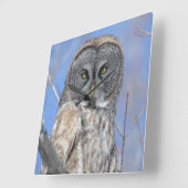 Horloge Carrée Chouette (Angle)