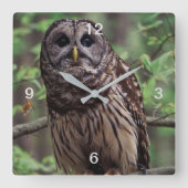 Horloge Carrée Chouette barrée (Recto)