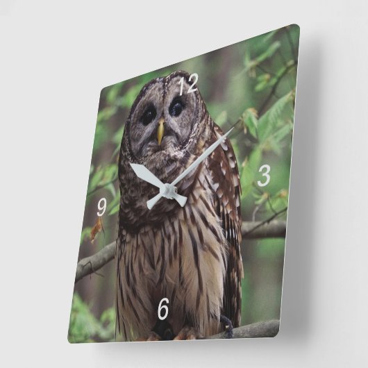 Horloge Carrée Chouette barrée (Angle)