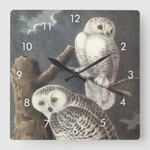 Horloge Carrée Chouette des neiges par Audubon