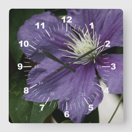 Horloge Carrée Clematis pourpre (Recto)