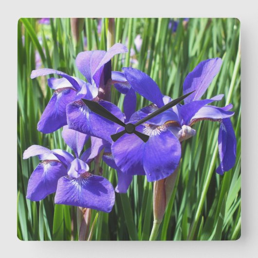 Horloge Carrée Clock de Purple Irises (Recto)