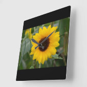 Horloge Carrée Clock de Sunflower (Angle)