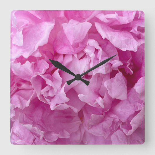 Horloge Carrée Closeup de pivoines roses (Recto)