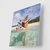 Horloge Carrée Cochon de natation d'Exuma (Angle)