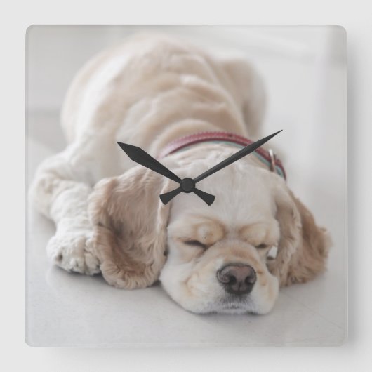 Horloge Carrée Cocker spaniel chien dormir (Recto)