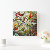 Horloge Carrée Colibri vintage par Ernst Haeckel (Maison)