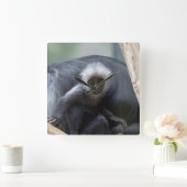 Horloge Carrée Colobus polykomos (Maison)
