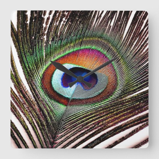 Horloge Carrée Colorful Copper Peacock Feather (Recto)