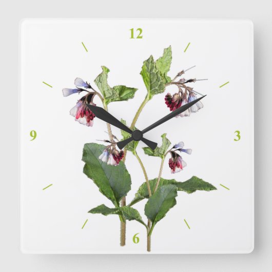 Horloge Carrée Comfrey. (Recto)