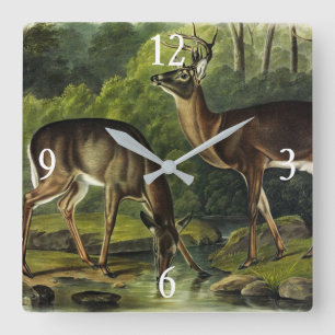 Horloge Carrée Common Deer