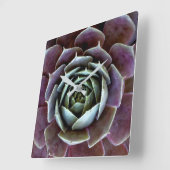 Horloge Carrée Complément Succulent pourpre (Angle)