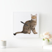 HORLOGE CARRÉE CONCEPTION CAT BROWN (Maison)