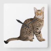 HORLOGE CARRÉE CONCEPTION CAT BROWN (Recto)