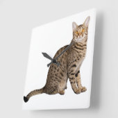 HORLOGE CARRÉE CONCEPTION CAT BROWN (Angle)