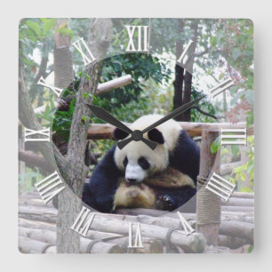 Horloge Carrée Conseil de Panda "Il est toujours temps de faire u